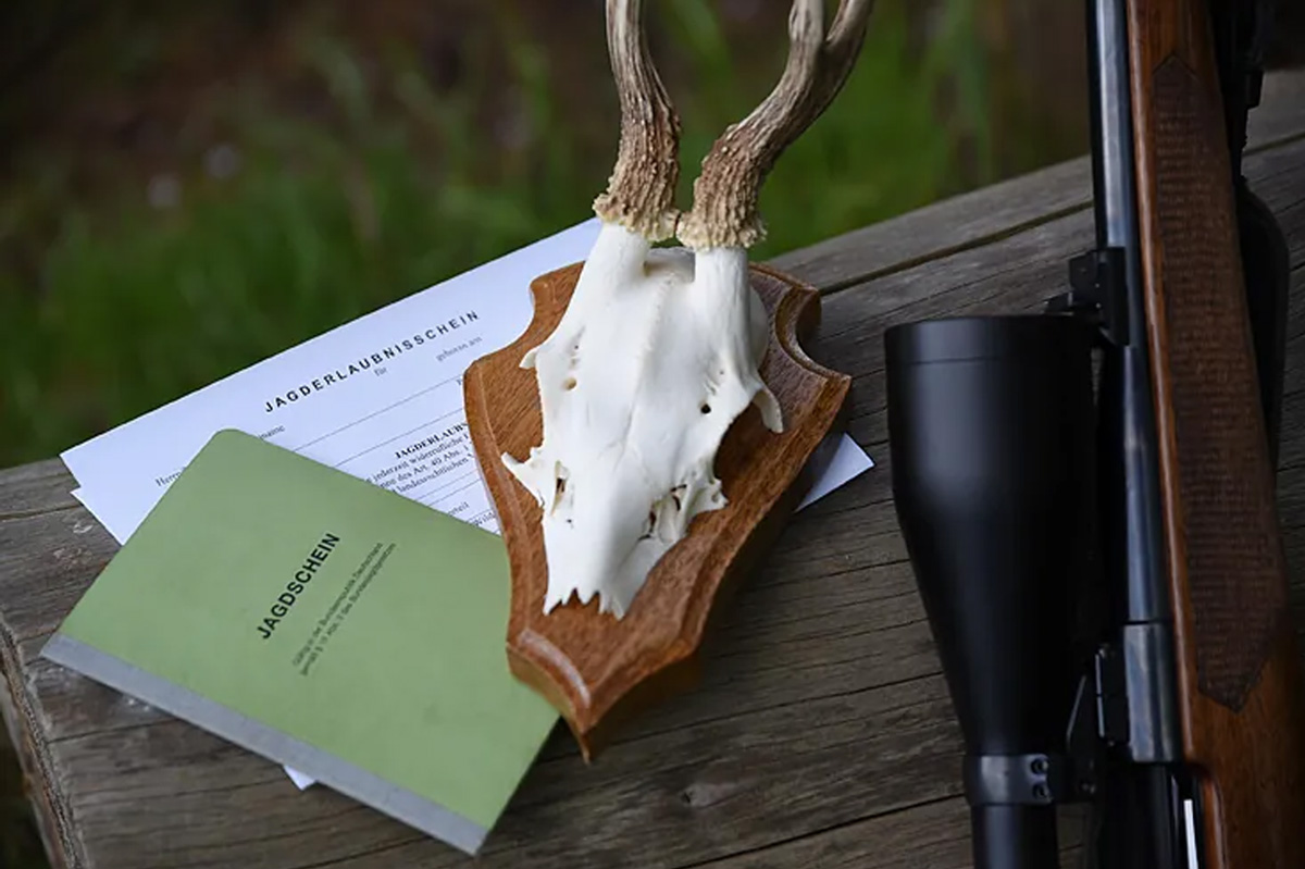 Jagdschein Gültigkeit & Verlängerung: Alles Was Sie Wissen Müssen