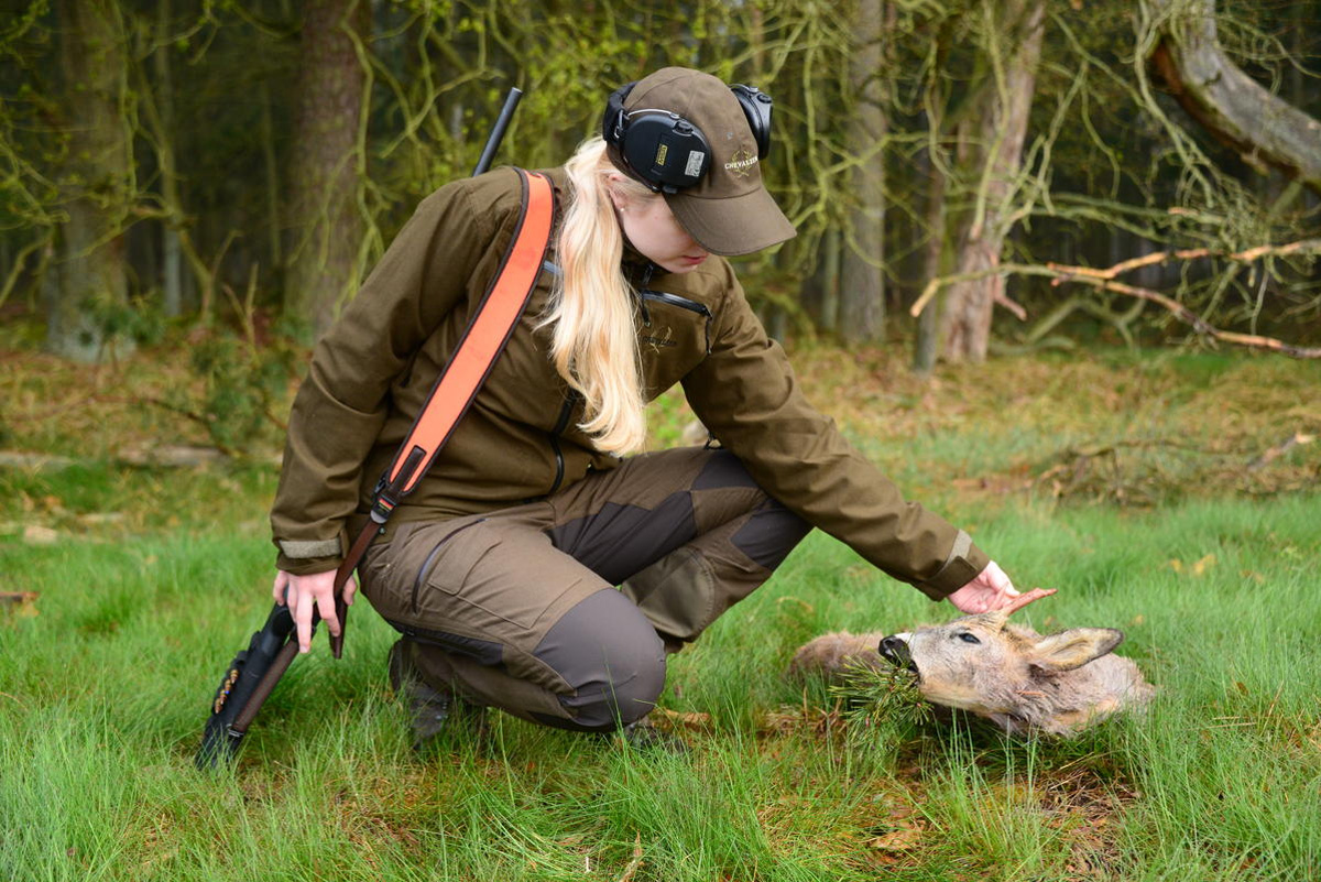 Wie Schwer Ist Der Jagdschein? Erfolgsquote & Schwierigkeitsgrad 2025